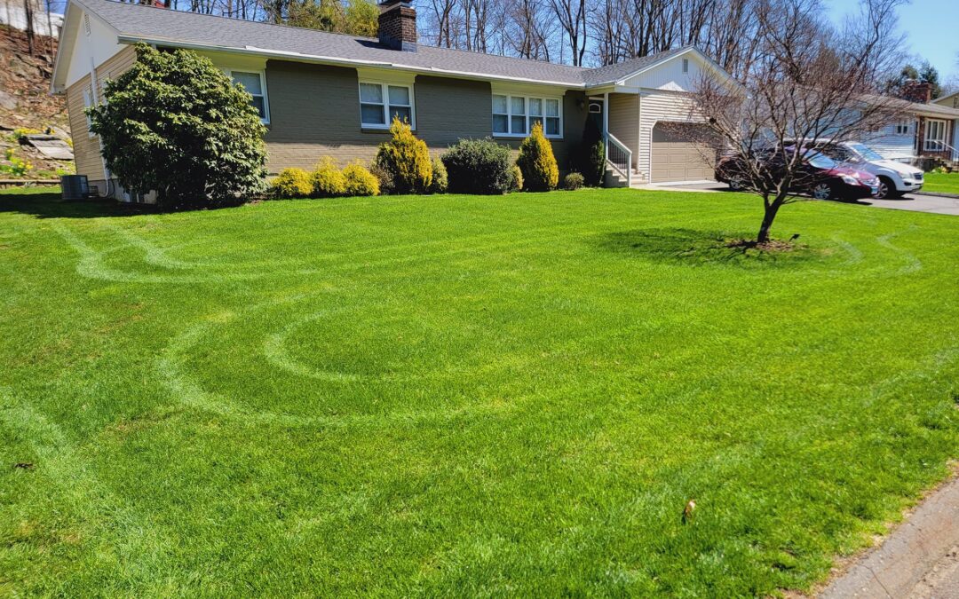 my guy lawn care
